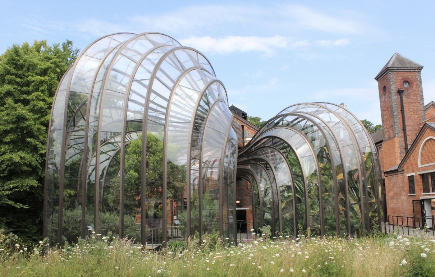 Bombay Sapphire Distillery Glasshouse | Jack Wallington Garden Design Ltd