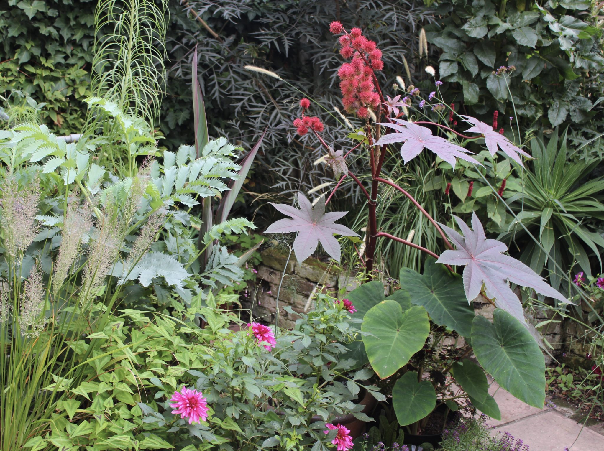 can-you-ever-have-too-many-plants-jack-wallington-nature-gardens