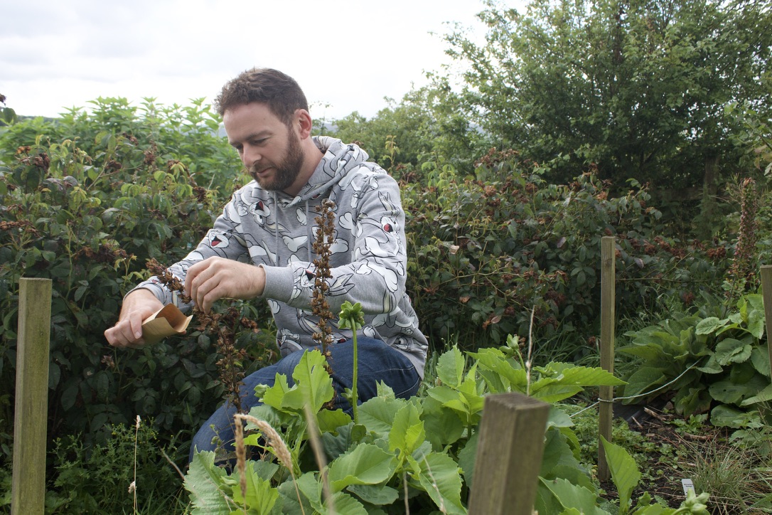 How to collect and store seeds and why | Jack Wallington | Nature & Gardens