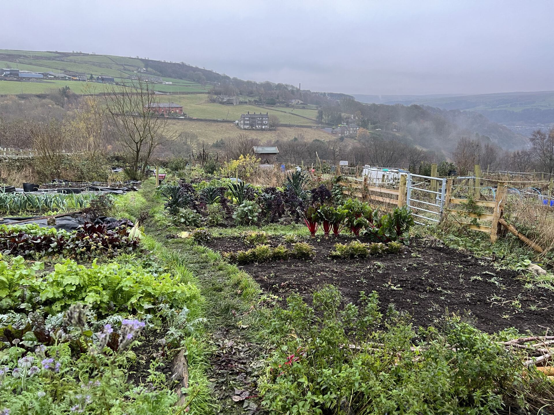 Allotment Plan 2023 Jack Wallington Nature Gardens   Allotment 2022 1 2 1 