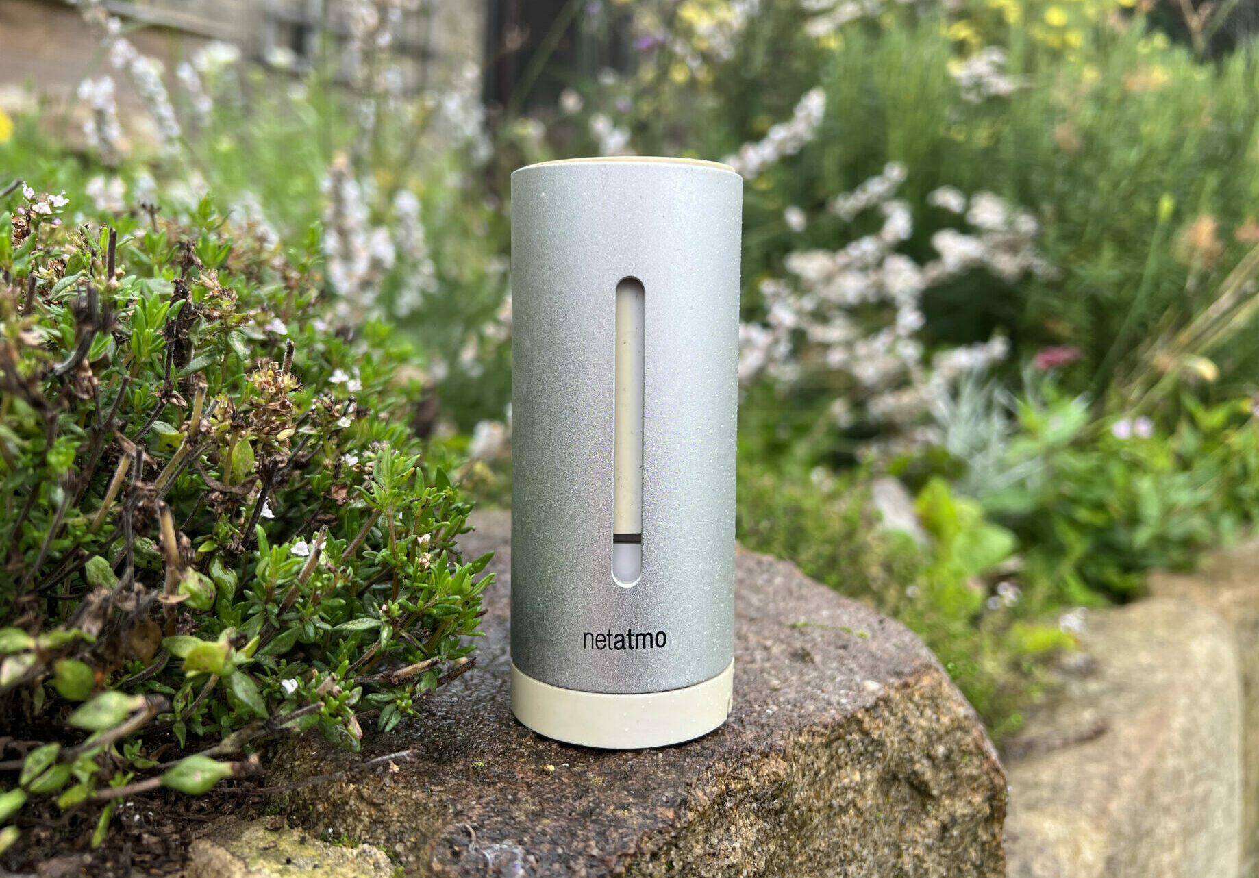 Access your own weather data on your smartphone – the Netatmo